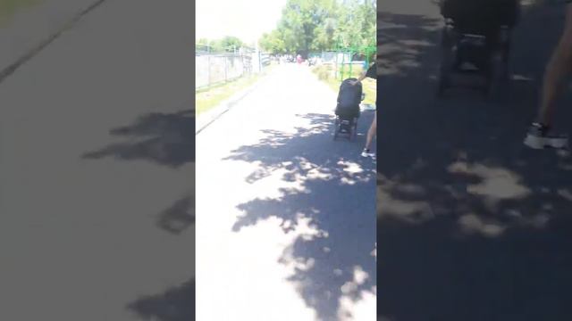 Зоопарк в городе Караганде Казахстан смотреть онлайн