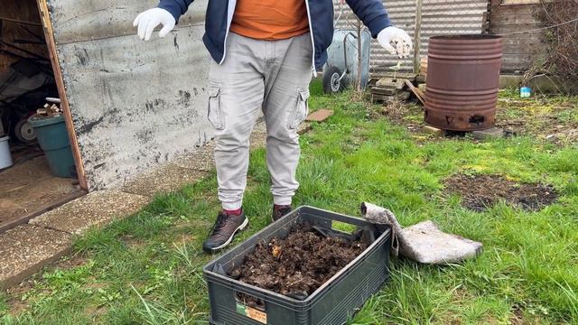 Потеплела, ну как там мои черви…? смотреть онлайн