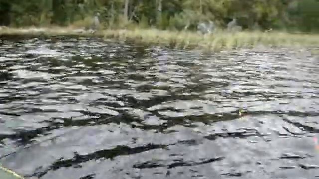 Ловля рыбы с лодки.Рыбалка в Карелии.Окунь . смотреть онлайн