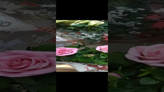 Розы садовые. Горшечные цветы. смотреть онлайн