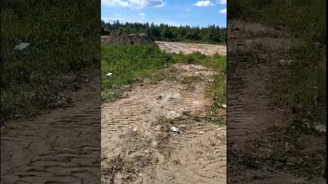 15 июня снегосвалка. Прокурор, ты где со своими судьями?! Помойка разрастается! смотреть онлайн