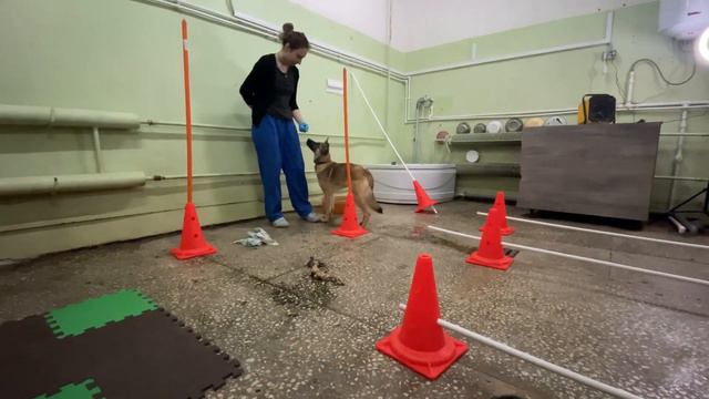 Занятия с Фольцем! смотреть онлайн