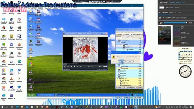 Skrillex Devils Earrepe Has BSOD VM (Windows XP) смотреть онлайн