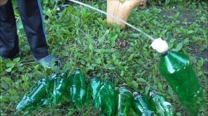 Пальма из пластиковых бутылок.