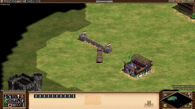 Age of Empires II: African Kingdoms - #13: Siege Tower смотреть онлайн