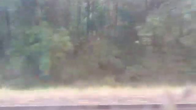 Поезд Гомеля Гомель Круговец