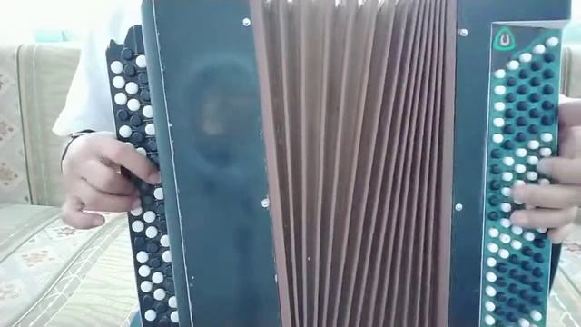 ЯГОДКА-МАЛИНКА (ПО МАЛИНУ В САД ПОЙДЁМ) [на баяне]