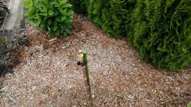 ЛЕТНИЕ ПЕРЕЖИВАНИЯ !!! смотреть онлайн