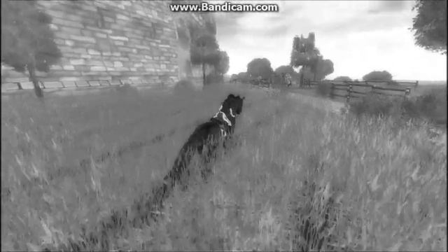 Star Stable Online - Lionwhisper & Me смотреть онлайн