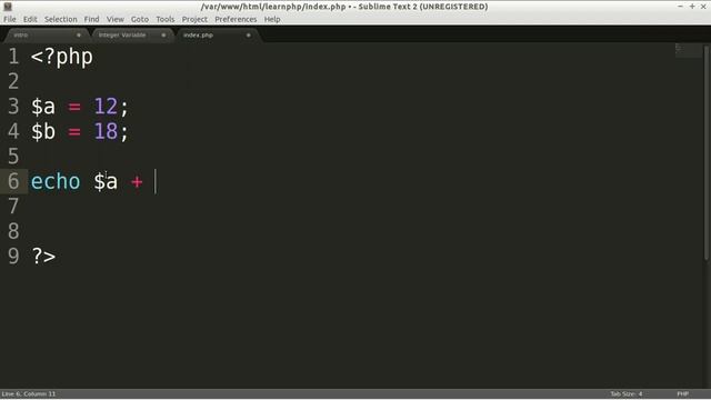 11 : Integer Variable | Complete Easy PHP Tutorial For Beginner смотреть онлайн