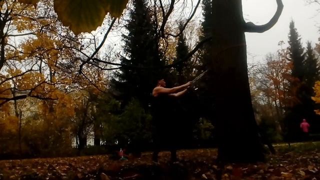 С ветки падающий лист смотреть онлайн