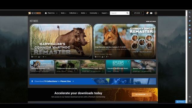Planet Zoo: 10 Things I Wish I Knew Sooner смотреть онлайн