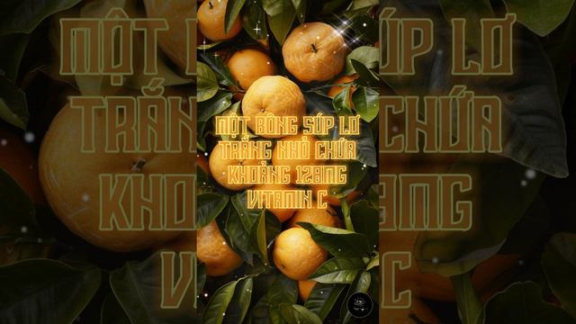 10 loại quả giàu vitamin C hơn cam | Sức Khỏe Đa Chiều смотреть онлайн