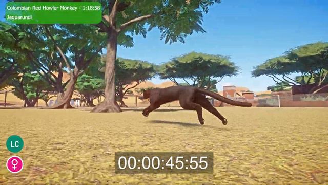 NEW SPECIES Animals Speed Races in Planet Zoo included Marsh Deer, Megistotherium etc смотреть онлайн