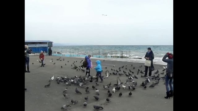 Алушта набережная 22 февраля 2014 смотреть онлайн