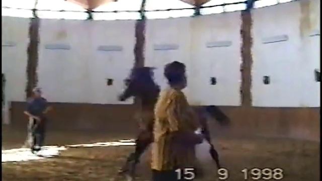 Выводка арабских жеребцов.mp4 смотреть онлайн