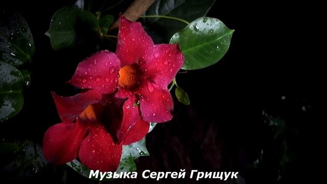 Грищук Сергей - Летний дождь смотреть онлайн