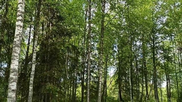 ТОРЖОК.ОСТАШКОВ.НИЛОВА ПУСТЫНЬ смотреть онлайн