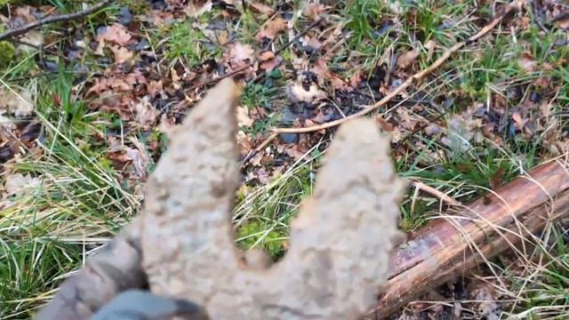 Коп в Англии, Копаю в средневековом лесу