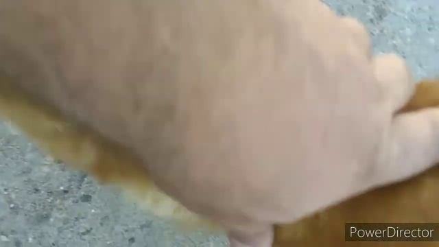 Животные нашего двора. Кот охотник . смотреть онлайн