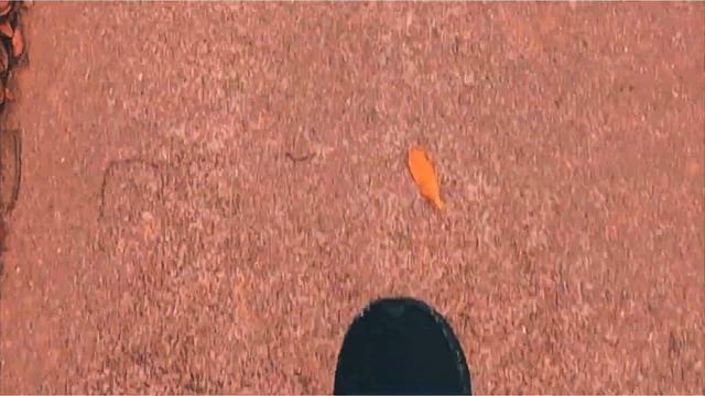 Sunday Run - First Mile in Nike's Pegasus Turbo 2 SE смотреть онлайн