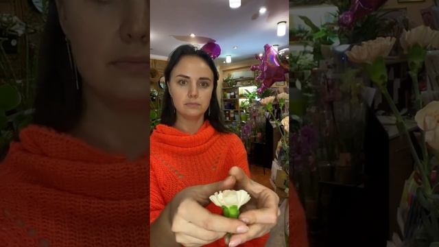 Уроки Пения и Вокала