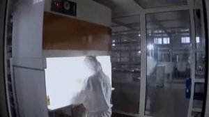 Наука 2 0  Грибы