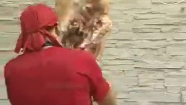 Открытие Мясничий на Новосибирской 9А