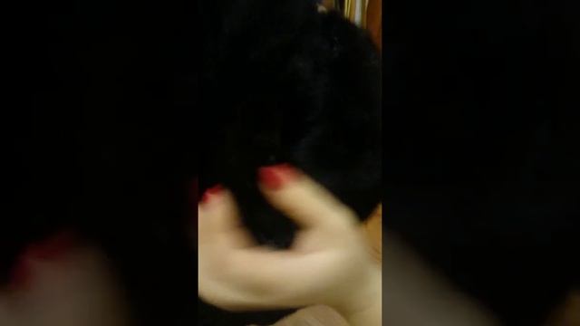 Шуба Норковая. Цвет чёрный махагон смотреть онлайн