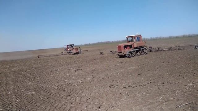 Внесение аммиачной селитры смотреть онлайн