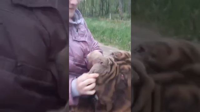 Любимые носы смотреть онлайн