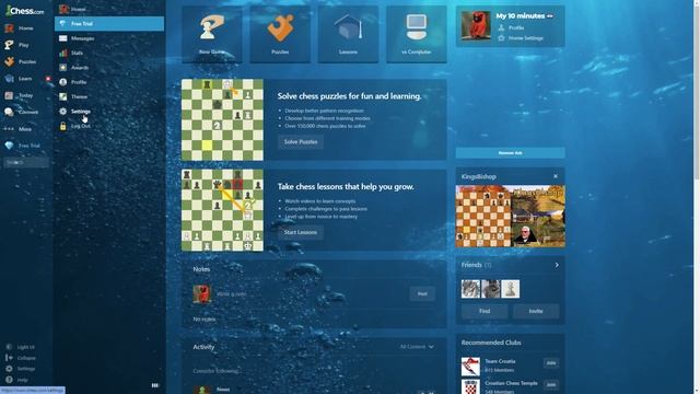 How enable premoves on chess.com смотреть онлайн