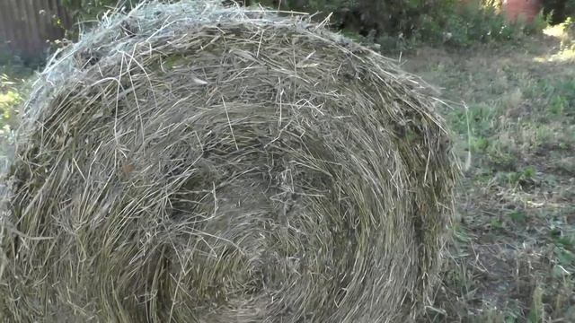 #148 На пути к новому проекту смотреть онлайн