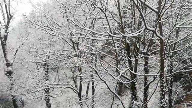 Парижская зимняя сказка смотреть онлайн