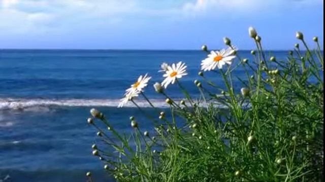 Цитаты знаменитых людей О ЛЮБВИ смотреть онлайн