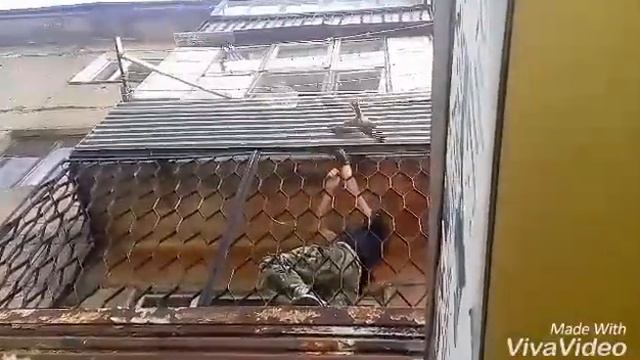 Спасение Беркута... смотреть онлайн