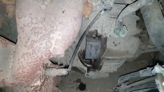 Где находится номер двигателя Nissan Note смотреть онлайн