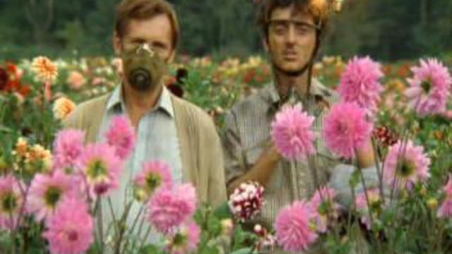 Девочка, вы тут самые умные? смотреть онлайн