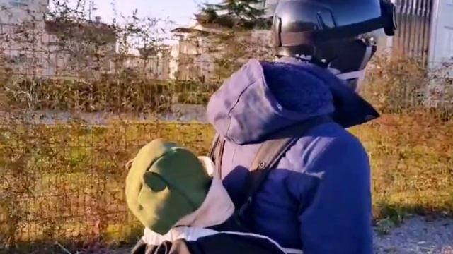 Переноска Babyton