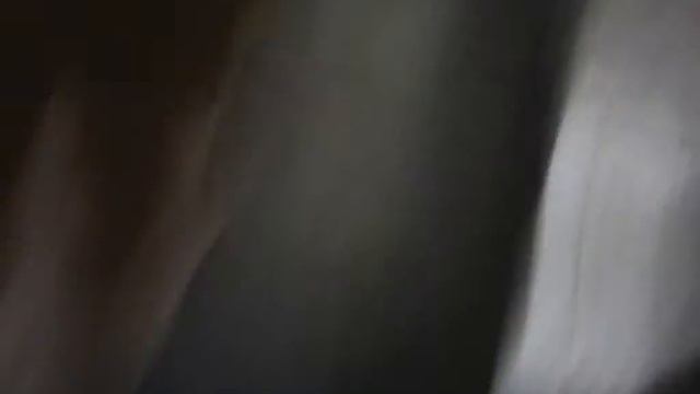 Типичная чихуахуа) смотреть онлайн