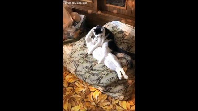 не отвлекайся смотреть онлайн