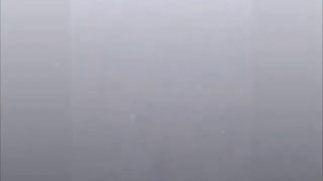 Дизентерия.смертник на 3 день уже здоров.1трава.е.зайцева травница смотреть онлайн