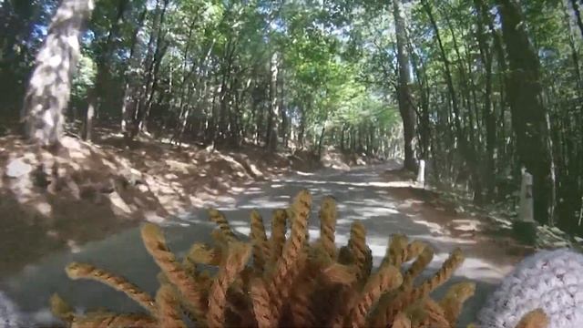 Где Искать Золото и Драгоценные Камни. смотреть онлайн