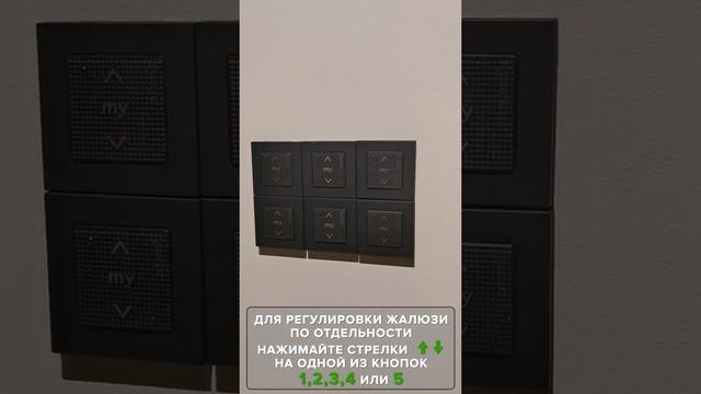 Восстановленная красота