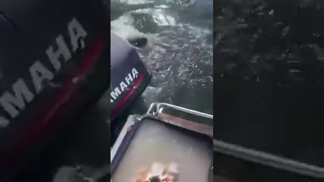 Зачётная рыбалка смотреть онлайн