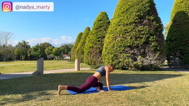 ВИНЬЯСА ФЛОУ ЙОГА | ЗАНЯТИЕ N°2 | 60 МИНУТ смотреть онлайн