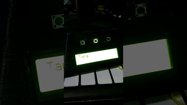 HX711 Весы высокоточные демо смотреть онлайн