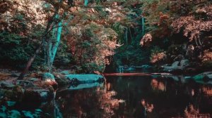 Assetto Corsa не запускает скачанные карты (решение)