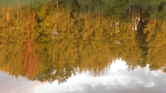 Рыболовный сплав по реке Илеть(август 2020) смотреть онлайн