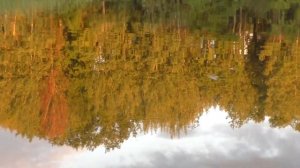 Рыболовный сплав по реке Илеть(август 2020)